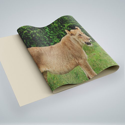 Large Poster Canvas